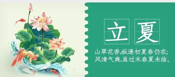 华兴宠物